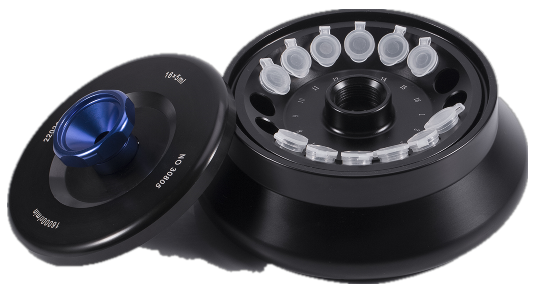 WPS图片(5) WPS 사진(5)