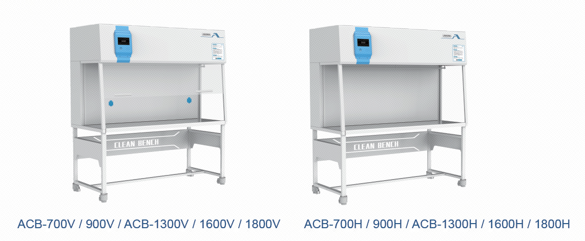 이미지_20240812112604
